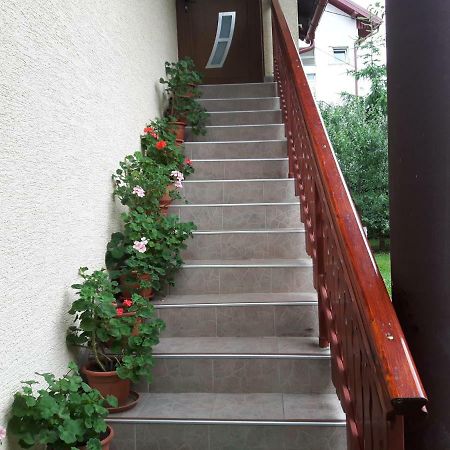 Apartman Petra&Tena Slunj Bagian luar foto