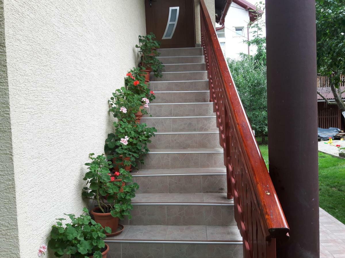 Apartman Petra&Tena Slunj Bagian luar foto