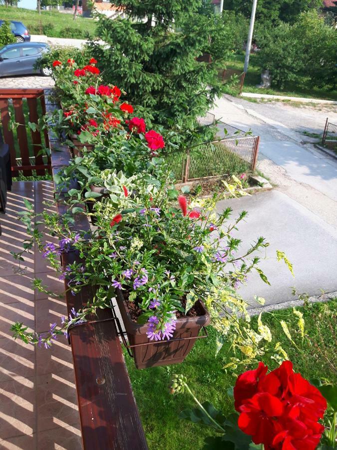 Apartman Petra&Tena Slunj Bagian luar foto